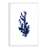 Blue Coral | Hamptons-Boho Abode-Art Print,beach,beach house,blue,blue coral,blue shell,Bohemian,Boho,Canvas,coast,coastal,coral,Framed Print,hamptons,ocean,portrait,Print,shell