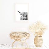 Highland Cow | Monochrome-Boho Abode-Art Print,black & white,Bohemian,Boho,bull,Canvas,cow,Framed Print,highland bull,highland cattle,Highland cow,monochrome,portrait,Print,rustic