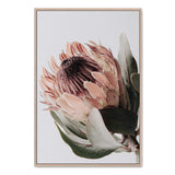 Protea Flower-Boho Abode-Art Print,blooms,Bohemian,Boho,Canvas,floral,flower,Framed Print,muted tone,orange,peach,portrait,Print,protea,protea flower,scandi