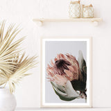 Protea Flower-Boho Abode-Art Print,blooms,Bohemian,Boho,Canvas,floral,flower,Framed Print,muted tone,orange,peach,portrait,Print,protea,protea flower,scandi