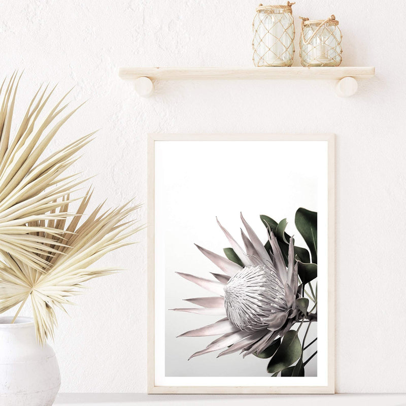 Pink Protea Flower-Boho Abode-Art Print,blooms,blush,Bohemian,Boho,Canvas,floral,flower,Framed Print,pink,portrait,Print,protea,protea flower,scandi