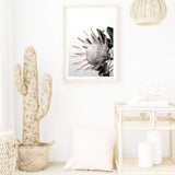 Pink Protea Flower-Boho Abode-Art Print,blooms,blush,Bohemian,Boho,Canvas,floral,flower,Framed Print,pink,portrait,Print,protea,protea flower,scandi