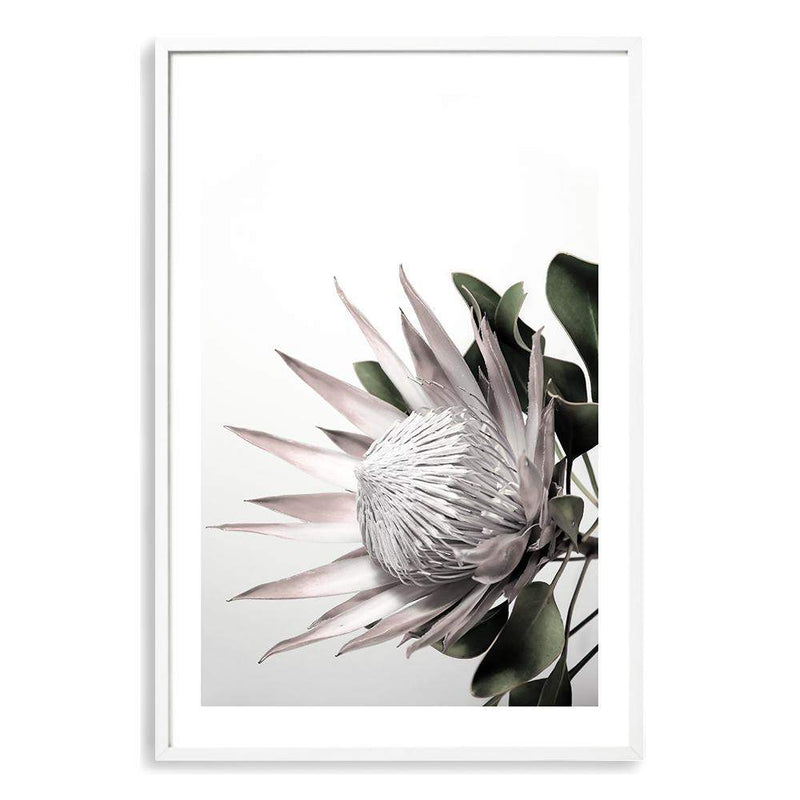 Pink Protea Flower-Boho Abode-Art Print,blooms,blush,Bohemian,Boho,Canvas,floral,flower,Framed Print,pink,portrait,Print,protea,protea flower,scandi