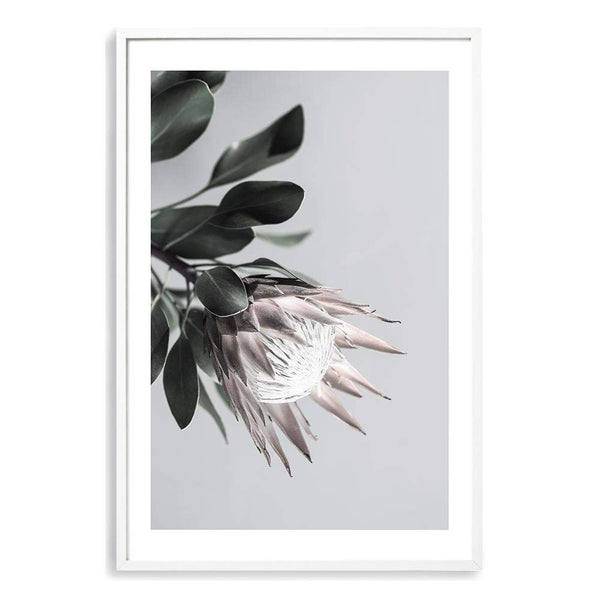 Pink Protea Flower Stem-Boho Abode-Art Print,blooms,blush,Bohemian,Boho,Canvas,floral,flower,Framed Print,pink,portrait,Print,protea,protea flower,scandi