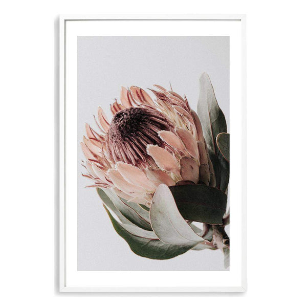 Protea Flower-Boho Abode-Art Print,blooms,Bohemian,Boho,Canvas,floral,flower,Framed Print,muted tone,orange,peach,portrait,Print,protea,protea flower,scandi