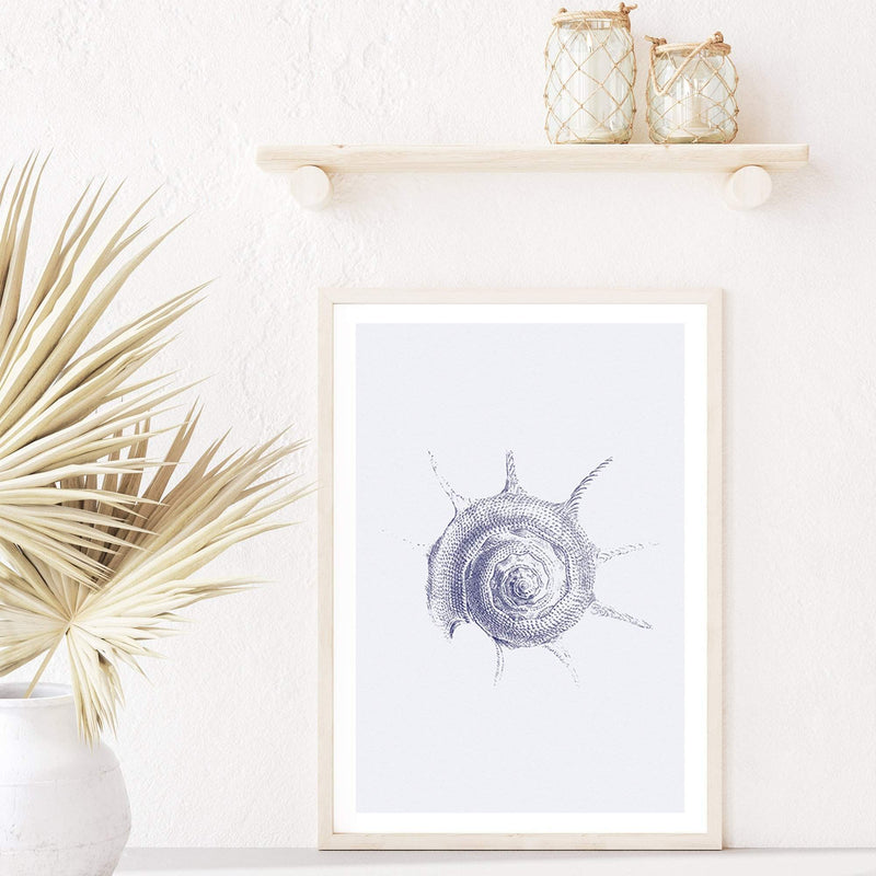 Blue Shell III | Hamptons-Boho Abode-Art Print,beach,beach house,blue,blue coral,blue shell,Bohemian,Boho,Canvas,coast,coastal,coral,Framed Print,hamptons,ocean,portrait,Print,shell