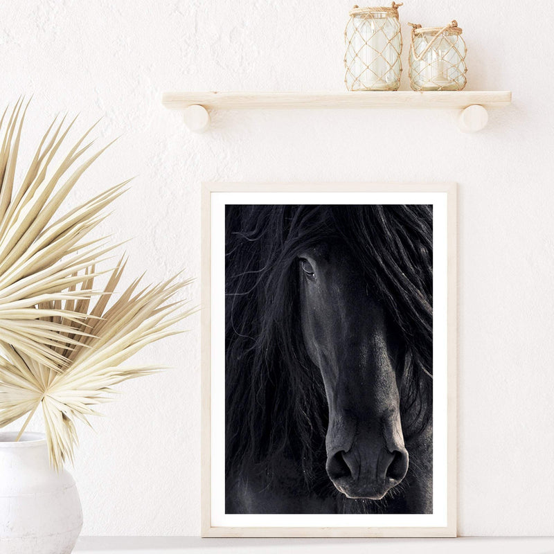 Black Horse-Boho Abode-animal,Art Print,black,Bohemian,Boho,Canvas,Framed Print,horse,horses,palomino,portrait,Print,rustic,stallion