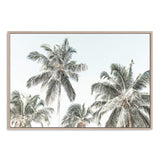 Palm Trees-Boho Abode-Art Print,beach,blue,Bohemian,Boho,Canvas,coastal,Framed Print,green,hamptons,landscape,palm,palm trees,palms,Print