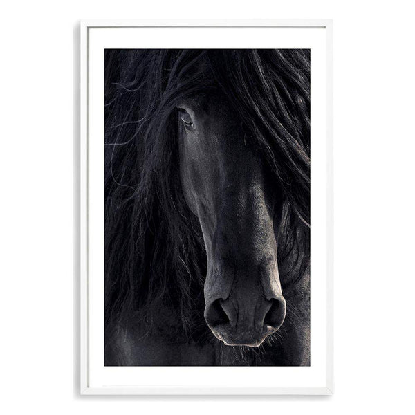 Black Horse-Boho Abode-animal,Art Print,black,Bohemian,Boho,Canvas,Framed Print,horse,horses,palomino,portrait,Print,rustic,stallion