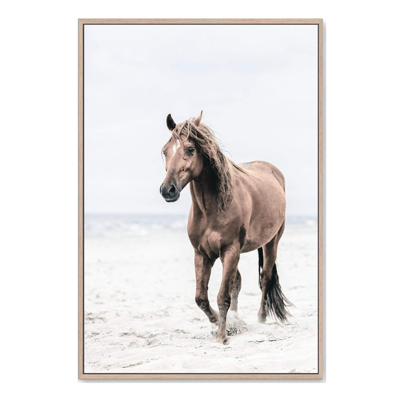Beach Horse-Boho Abode-Art Print,beach,blue,Bohemian,Boho,Canvas,coast,coastal,Framed Print,hamptons,horse,ocean,paradise,portrait,Print,sand,stallion,waves
