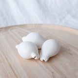 White Ovula Ovum Shell | 7-8.5