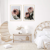 Set Of Two Set Of Two Protea Flowers-Boho Abode-Art Print,blush,Bohemian,Boho,Canvas,floral,flower,Framed Print,illustrated,orange,peach,portrait,Print,protea,protea flower,set,sets