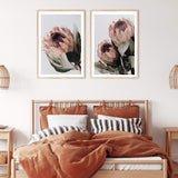 Set Of Two Set Of Two Protea Flowers-Boho Abode-Art Print,blush,Bohemian,Boho,Canvas,floral,flower,Framed Print,illustrated,orange,peach,portrait,Print,protea,protea flower,set,sets