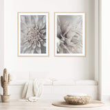Set Of Two Set Of Two Dahlia Flowers-Boho Abode-Art Print,blush,Bohemian,Boho,Canvas,dahlia,dahlia flower,floral,flower,Framed Print,illustrated,ivory,neutral,portrait,Print,set,sets,white